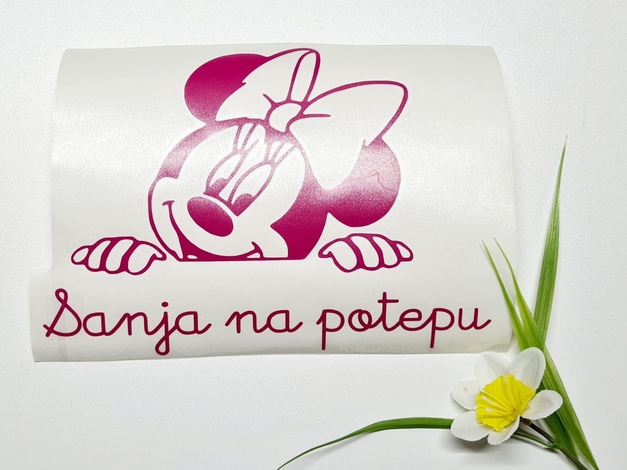 Sanja na potepu 1 Sanja na potepu